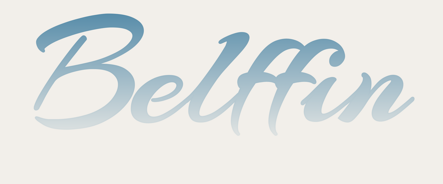 Belffin
