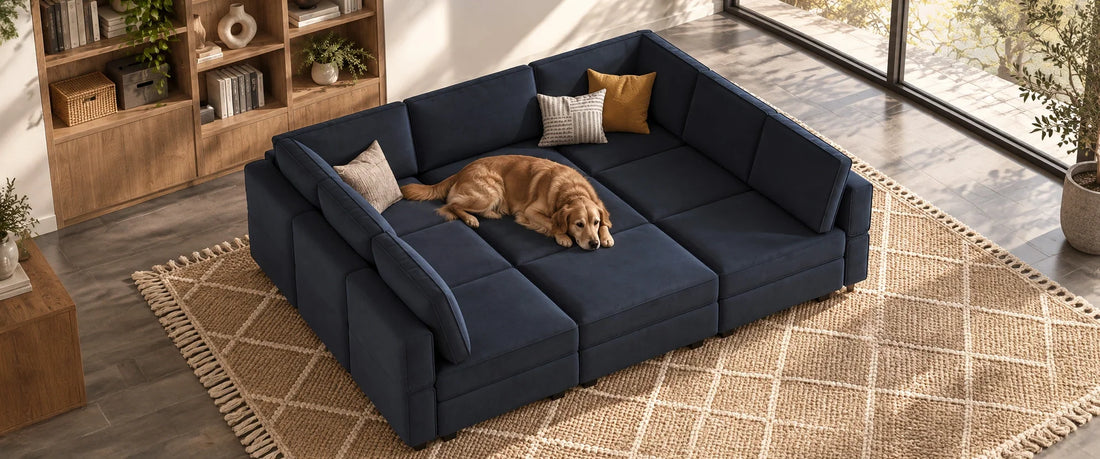 How to Pet-Proof Your Sofa: 5 Easy Ways to Save Your Couch from Claws, Stains & Hair