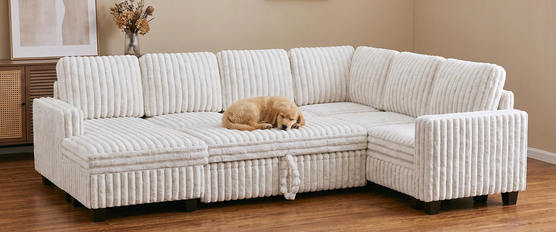 Stylish Modular Sofas: Perfect for Pets and Practicality
