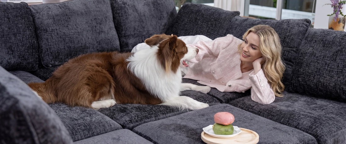 Small Space, Big Comfort: The Complete Guide to Buying a Sleeper Sofa