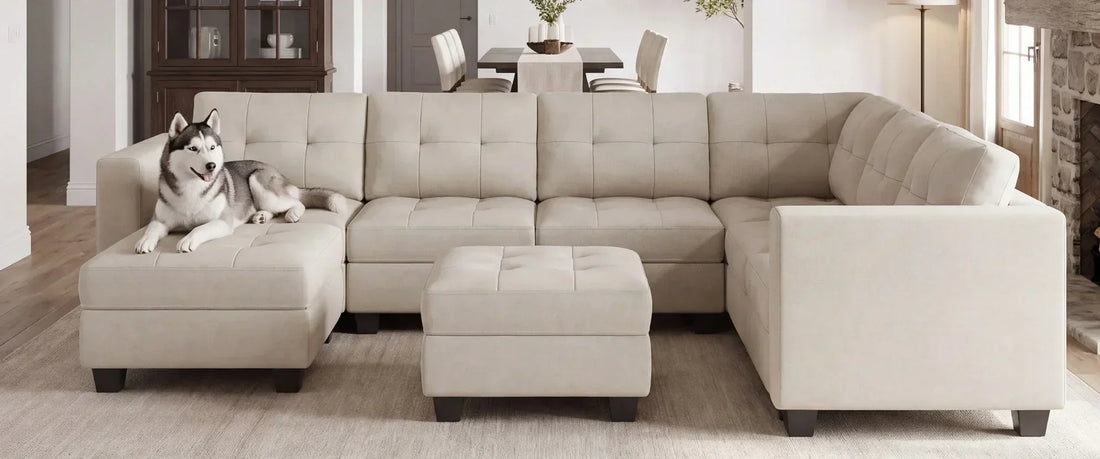 Say Goodbye to Pet Hair: How to Clean Your Couch in Minutes