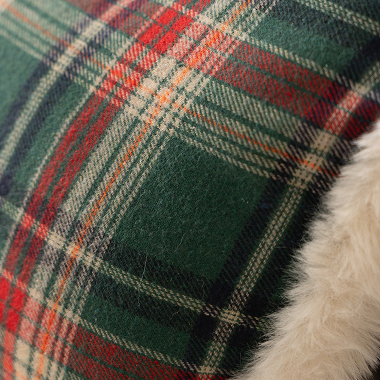 Christmas Whimsy Throw Pillows