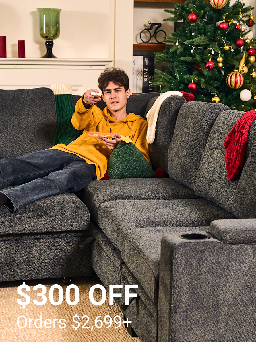 Pull-out Sofa $300 OFF