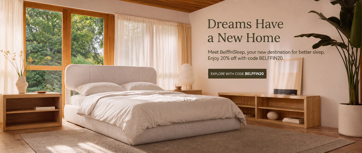 Belffin