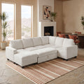 Plume-Pull-out-Storage-Sofa