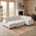 Plume-Pull-out-Storage-Sofa
