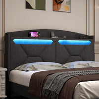 Modern Bed Frame with Storage Headboard and LED Lights BSN