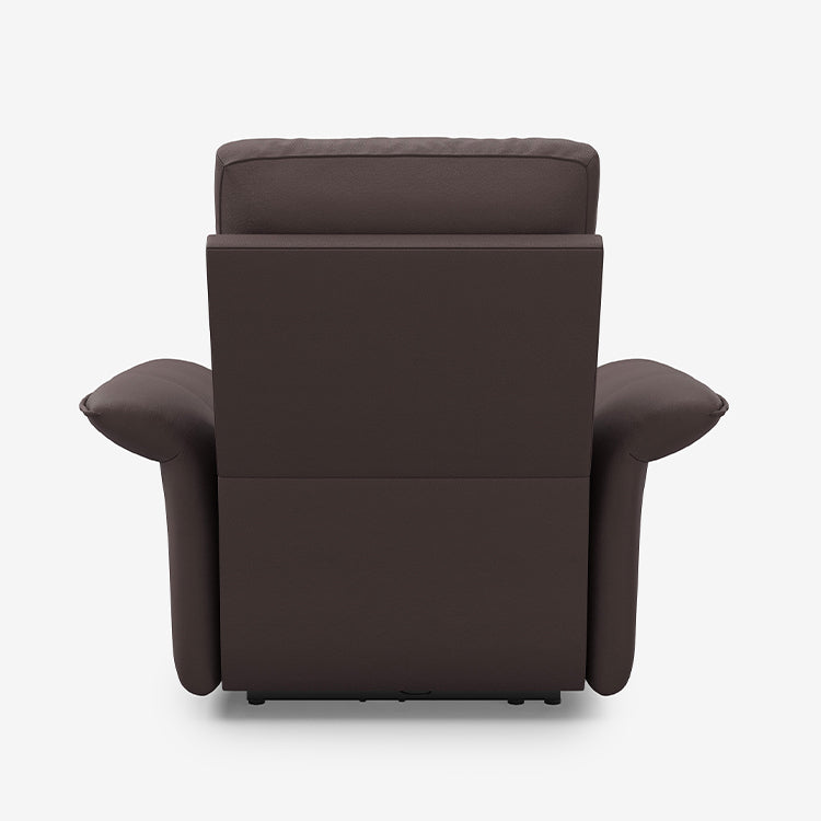 #color_brown