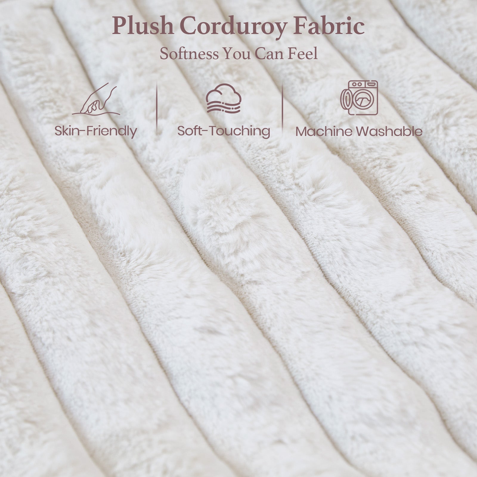 Plume Pull-out Sofa—Perfect for Small Spaces