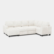 Plume Pull-out Storage Sofa