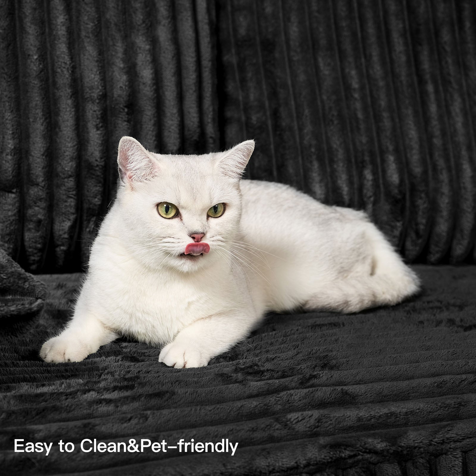 Plume-Easy-to-Clean-Pet-friendly