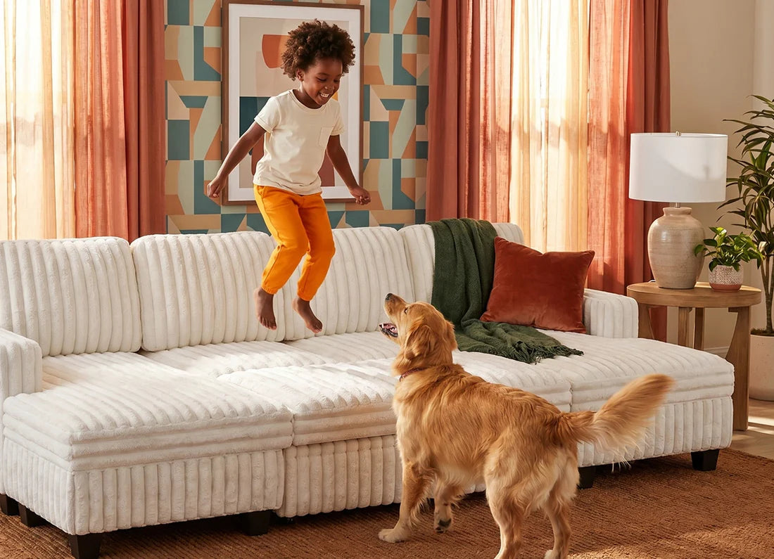 Dog-sleeping-on-a-pet-friendly-white-corduroy-Belffin-couch