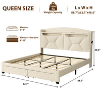 Modern Bed Frame with Storage Headboard and LED Lights BSN